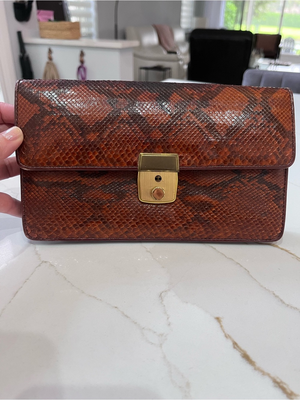 Vintage Brown Snake-Skin Clutch with Lock